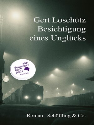 cover image of Besichtigung eines Unglücks